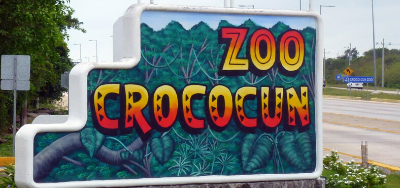 Croco Cun Zoo.